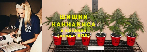 MESCALINE Балахна