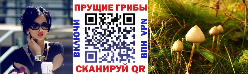 Псилоцибиновые грибы ЛСД  Шимановск 